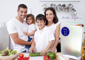 Ozonizer 2c for Vegetables and Fruits
